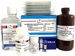 Tris-醋酸-SDS-PAGE電泳試劑盒（變性電泳，含預制膠）