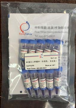 4×蛋白上樣緩沖（非變性，非還原）