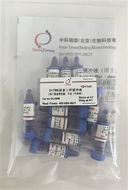2×TBE尿素上樣緩沖液（用于尿素變性膠，不含二甲苯菁）